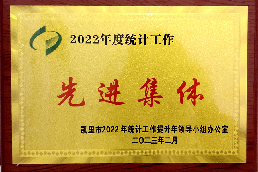 凱里市2022年度統(tǒng)計(jì)工作“先進(jìn)集體”榮譽(yù)稱號(hào)-貴州生物制藥